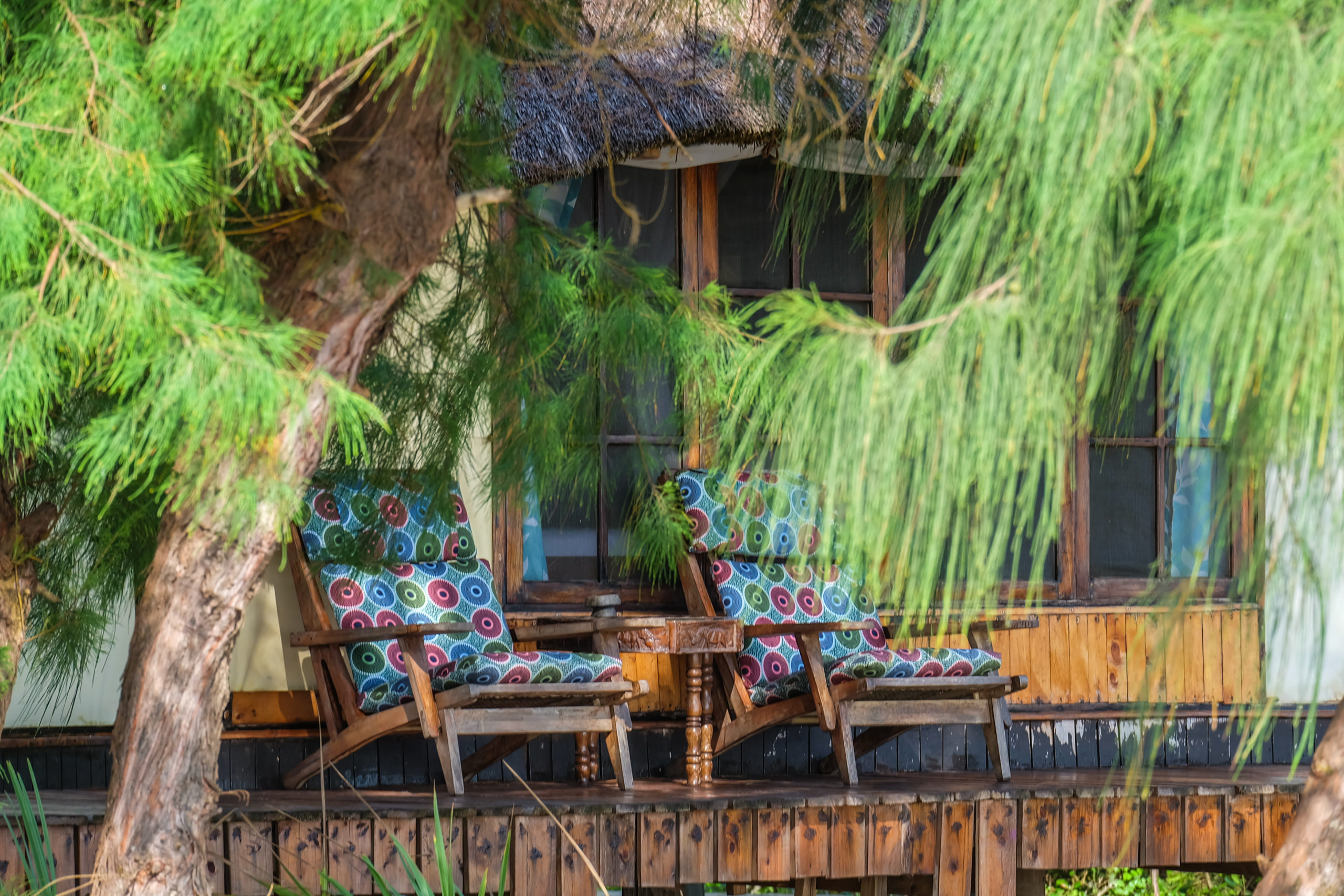 Saadani Safari Lodge