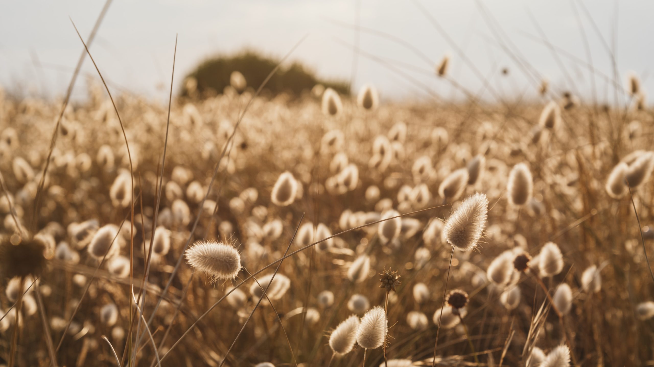 Road Trip sur le littoral du Cotentin