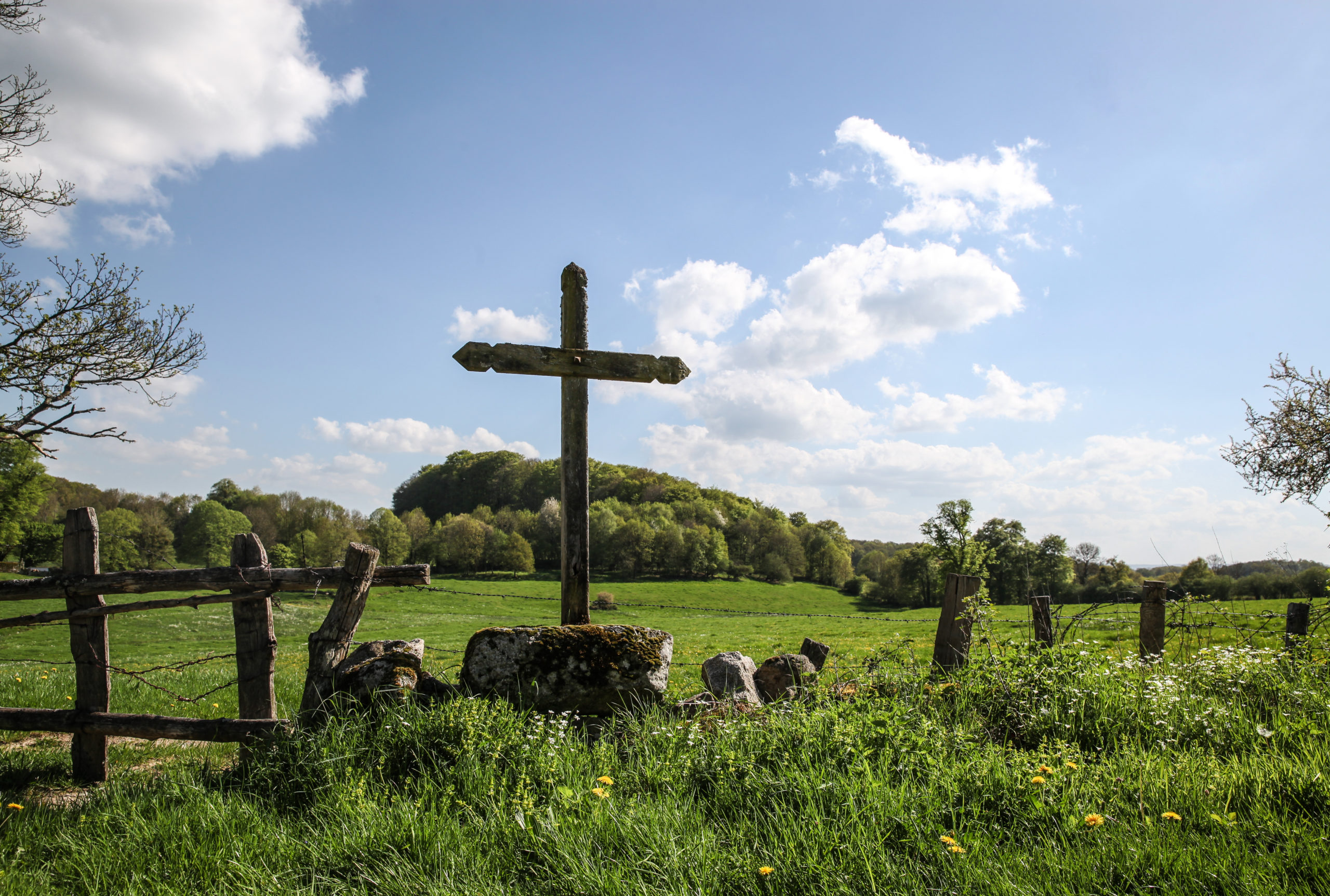 Paysages de France en bord de chemins