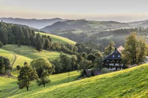 Bade-Wurtemberg en été