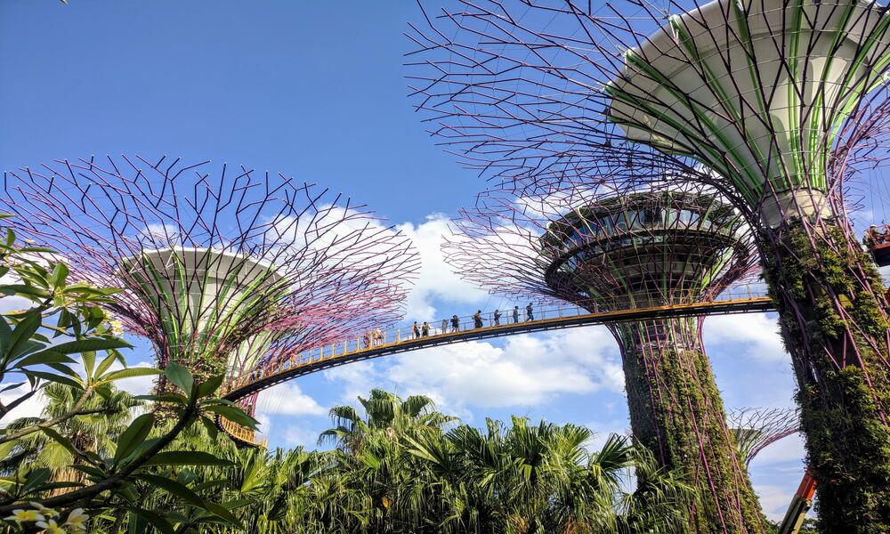 gardens by the Bay Singapour