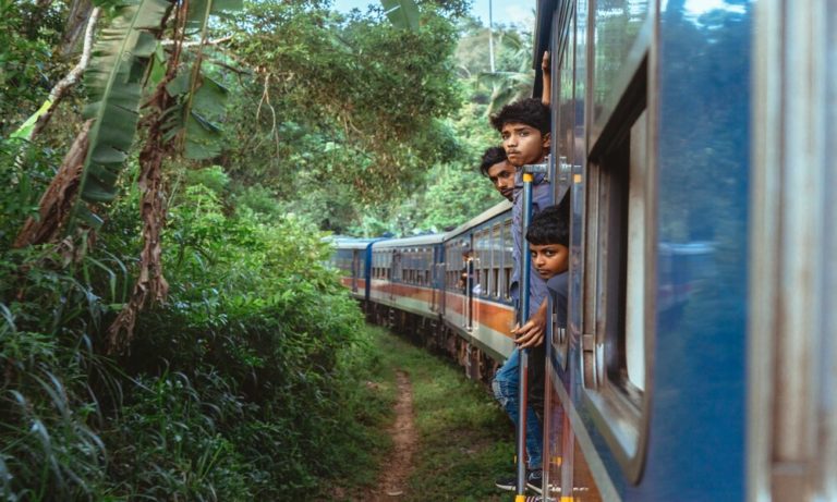 jungle train