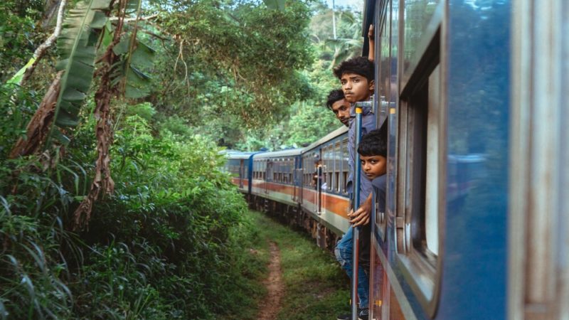 jungle train