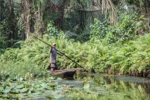 pirogue sur Rivière Noire